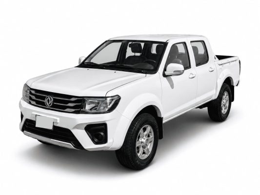 Dongfeng Rich P11